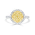 0.16tct Yellow Diamond Ring with 0.73ct Diamonds set in 14K Two Tone gold