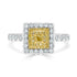 0.09tct Yellow Diamond ring with 0.52tct diamonds set in 18kt two tone gold