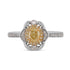 0.27Ct Yellow Diamond Ring With 0.22Tct Diamonds In Two Tone Gold