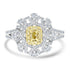 0.15ct Yellow Diamond Rings with 0.8tct Diamond set in 14K Two Tone Gold