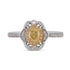 0.27Ct Yellow Diamond Ring With 0.22Tct Diamonds In Two Tone Gold