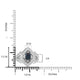 1.13ct Alexandrite Rings With 0.27tct Diamonds Set In Platinum 900 Platinum
