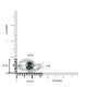 1.07ct Alexandrite Rings With 0.30tct Diamonds Set In Platinum 900 Platinum