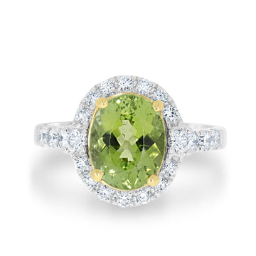 2.65ct Paraiba Rings with 0.65tct diamonds set in 18KT two tone gold