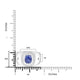 2.45ct Sapphire Men Ring with 0.61ct Diamonds set in 14K White Gold