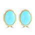 11.25ct Turquoise Earrings with 0.161tct Diamond set in 14K Yellow Gold