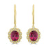 4.38ct Rhodonite Earrings with 0.227tct Diamond set in 14K Yellow Gold