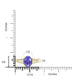 1.75Ct Tanzanite Ring With 0.38Tct Diamonds Set In 14K Yellow Gold
