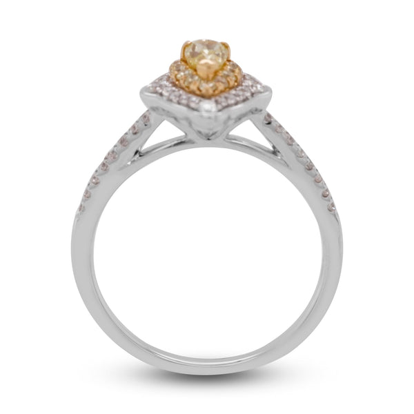 18K two tone 0.28tct Yellow Diamond Rings with 0.38tct Diamond accents