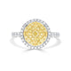 0.16tct Yellow Diamond Ring with 0.73ct Diamonds set in 14K Two Tone gold